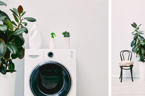 collage of green plants near detergent bottles on washing machines near chairs with towels